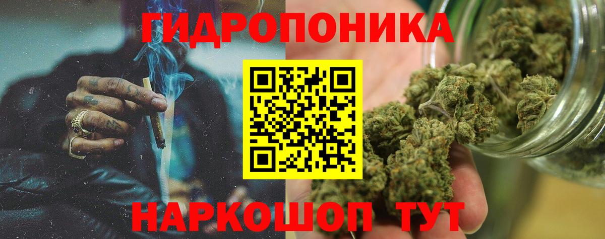 Бошки Шишки Великий Устюг